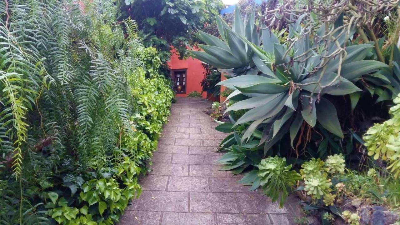 Pensjonat Casa Ida Garachico  Zewnętrze zdjęcie