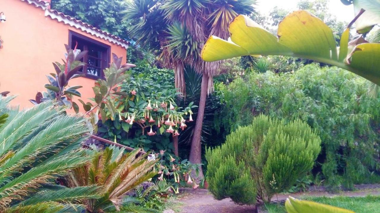 Pensjonat Casa Ida Garachico  Zewnętrze zdjęcie